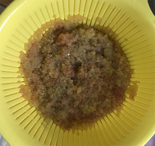 コストはイクラの1 10 カジカの子の醤油漬けを作ってみた